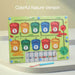 Magnetic counting puzzle toy – colour recognition & motor skills | for kids 1-6