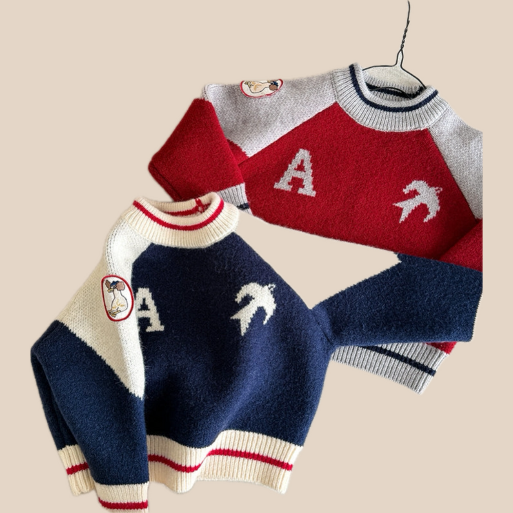 Knitted jumper keeps little ones warm – ribbed cuffs, bird print | boys