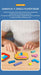 Wooden geometric puzzle blocks – shapes, colours, fine motor skills | Educational toy for kids