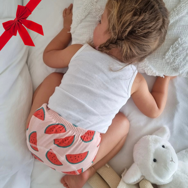 Potty training pants – reusable, absorbent, set of 2 | for toddlers