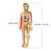 3D human body model building set – educational, 30 pieces | science toy for kids