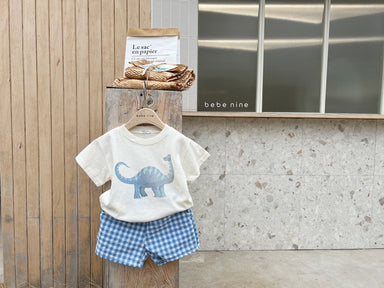 Dino print T-shirt and shorts set – soft cotton, elastic waistband | toddler summer outfit