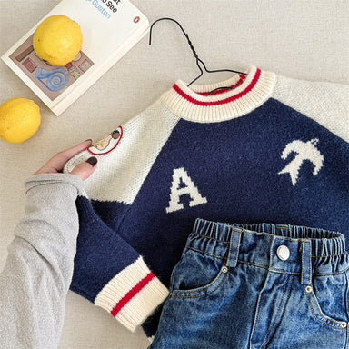 Knitted jumper keeps little ones warm – ribbed cuffs, bird print | boys