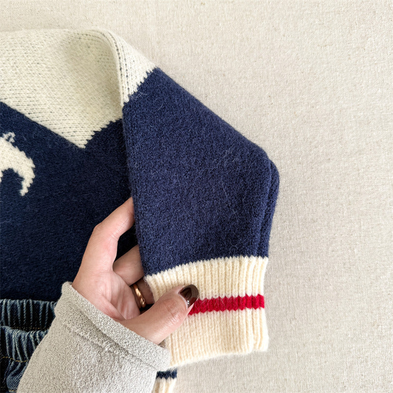 Knitted jumper keeps little ones warm – ribbed cuffs, bird print | boys