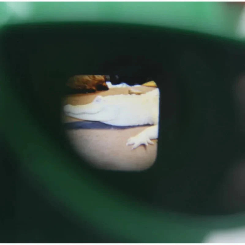 3D viewfinder with slide discs – educational, screen-free toy | kids