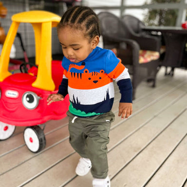 Knitted boys' jumper with animal print – soft cotton, ribbed cuffs | toddler sweater